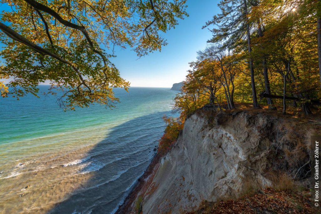 Kreidefelsen Rügen