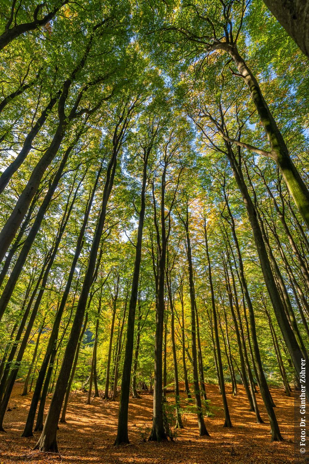 Panorama Hotel, Lohme