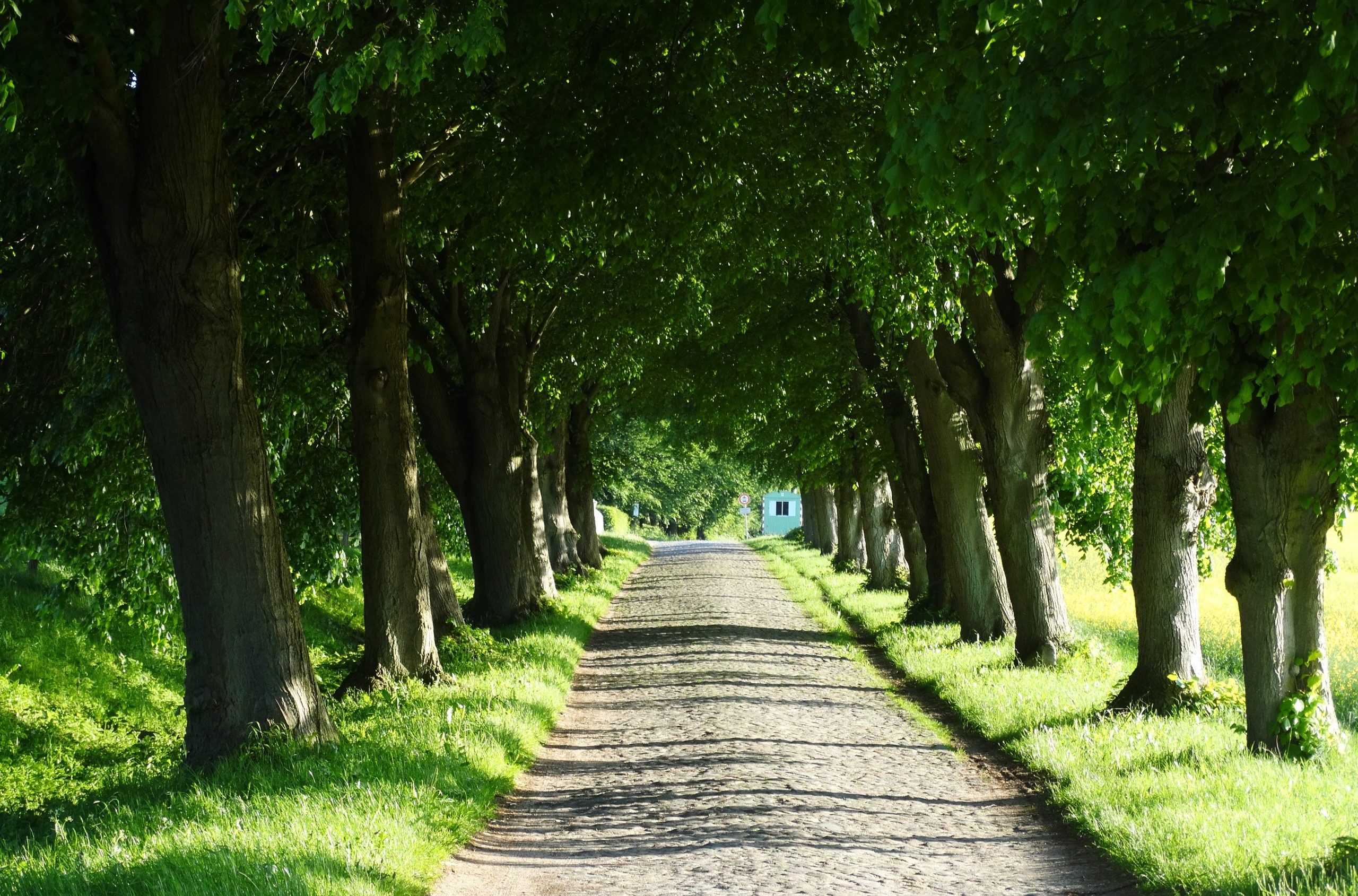 Panorama Hotel, Lohme