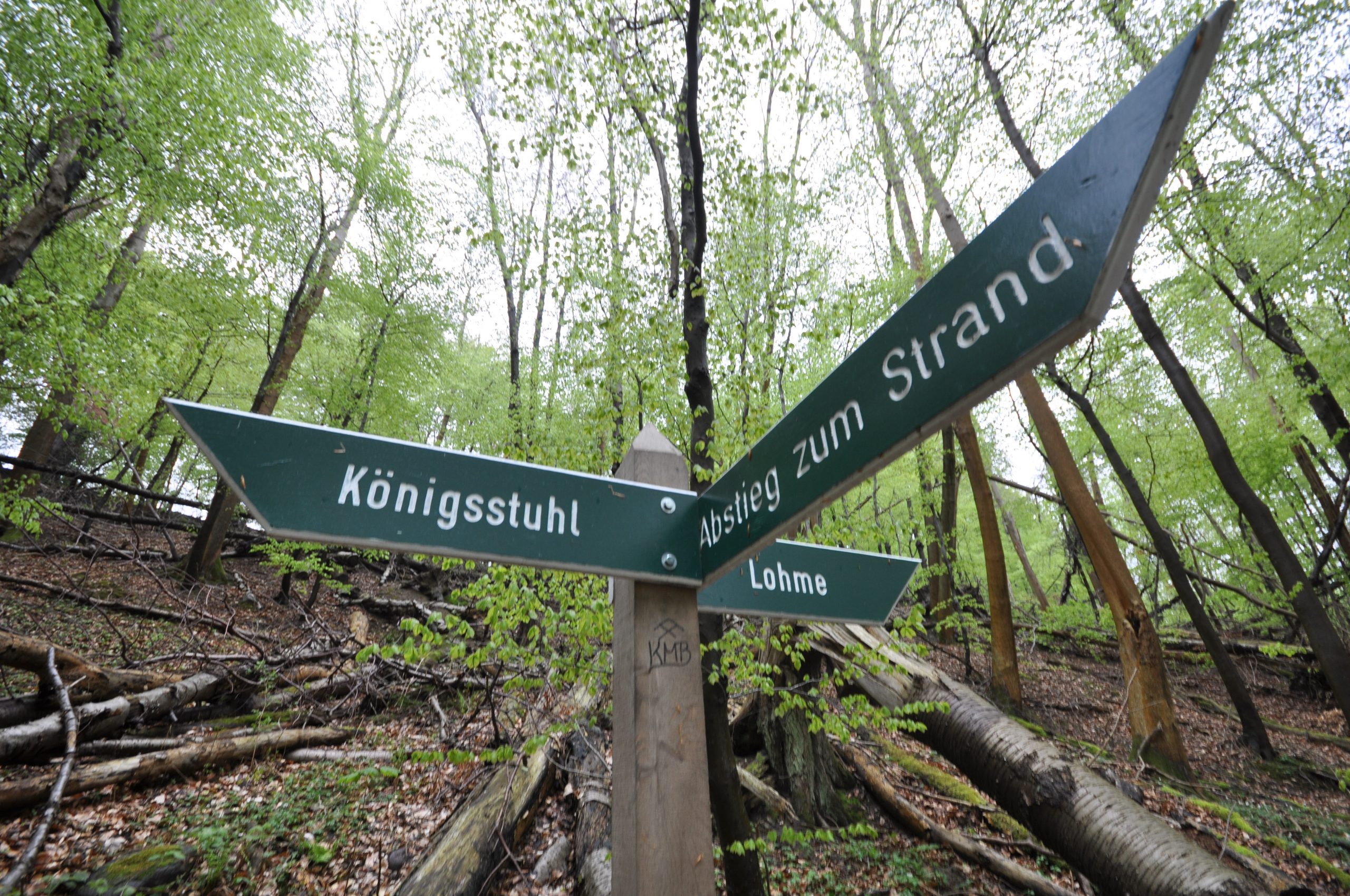 Panorama Hotel, Lohme